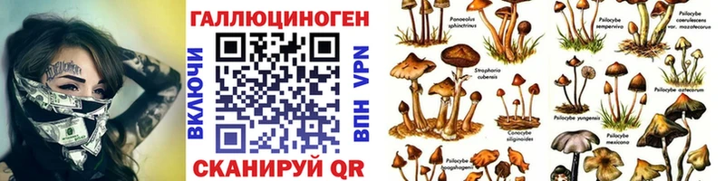 Галлюциногенные грибы MAGIC MUSHROOMS  Купить где  Печоры 